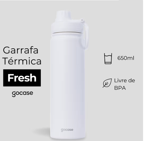 Garrafa Térmica Aparecida 3